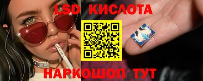 PSILOCYBIN Нальчик