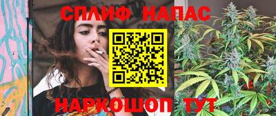 PSILOCYBIN Нальчик